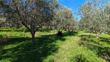 Plot for sale in Rethymno