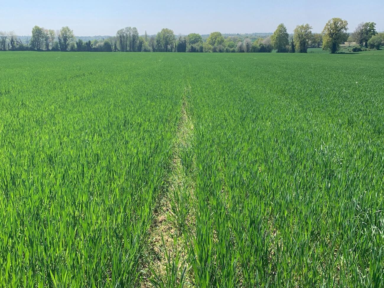 Leased farmland: a profitable and sustainable investment