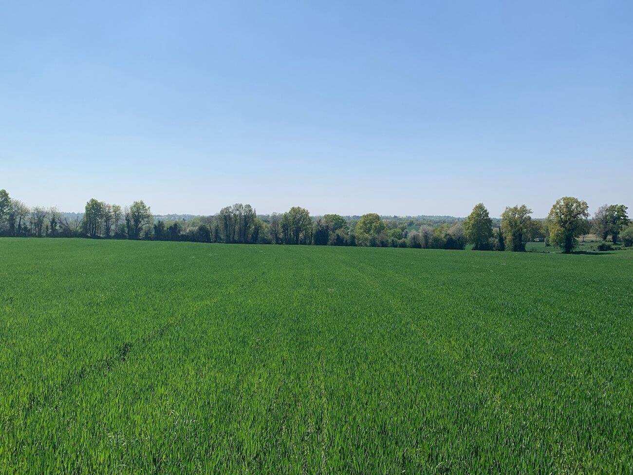 Leased farmland: a profitable and sustainable investment