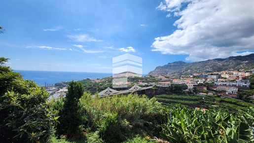 Terreno plano - São Martinho , Funchal
