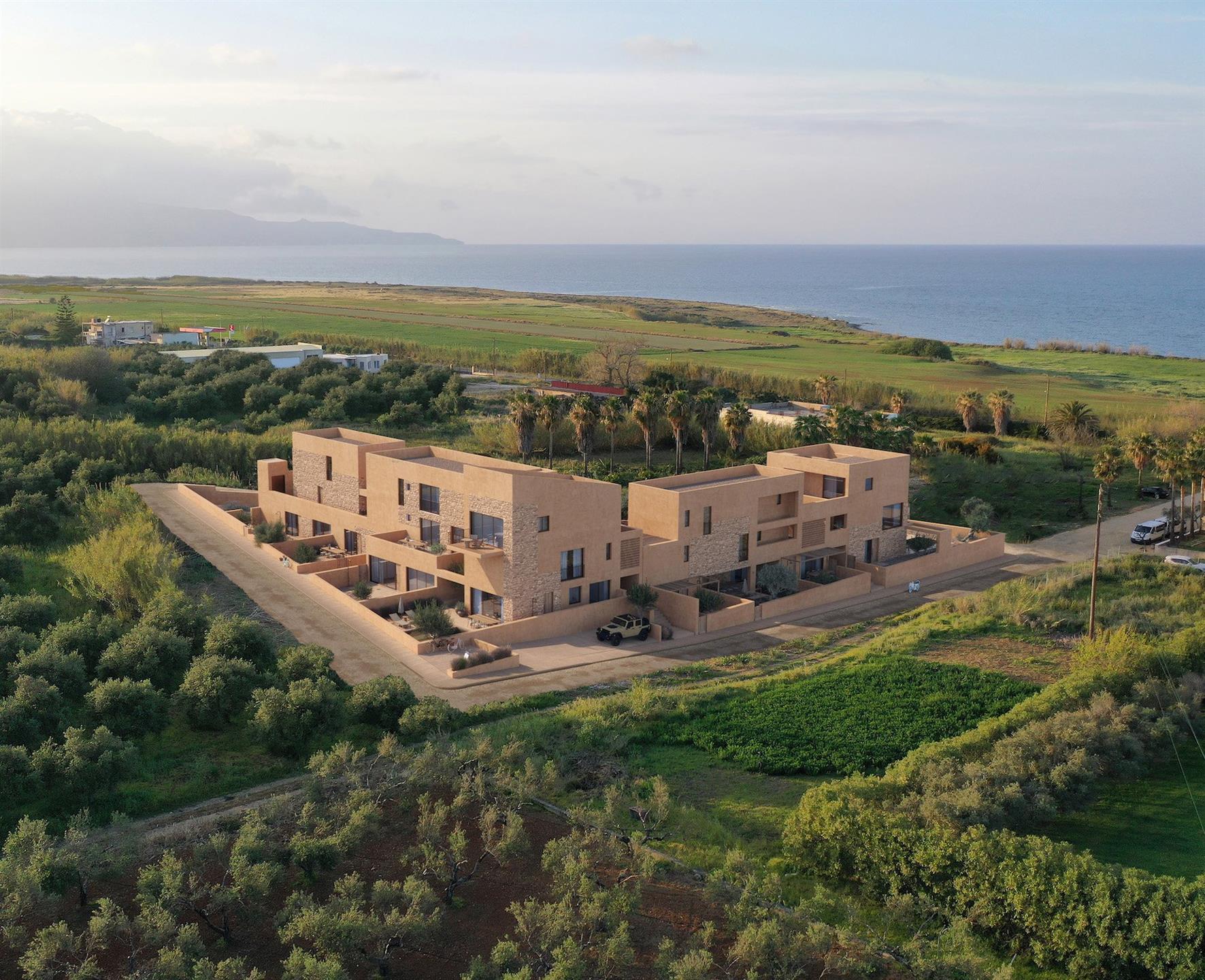 Olea Land