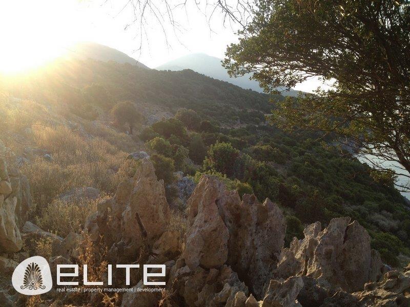 Purchase: Land (28086)