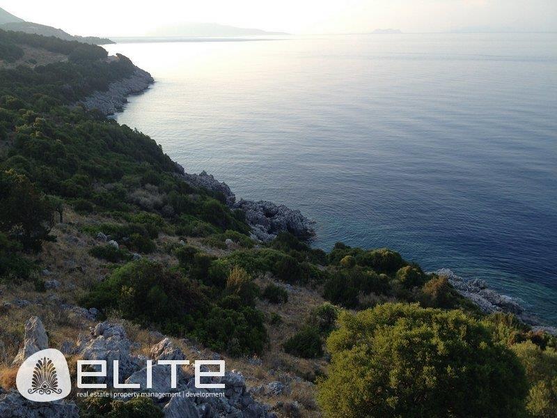 Purchase: Land (28086)