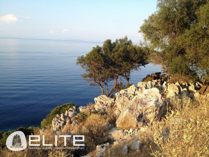 Purchase: Land (28086)