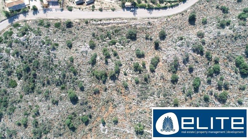 Purchase: Land (28086)