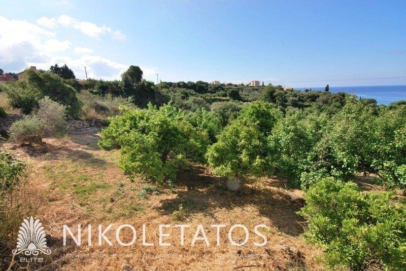 Purchase: Land (28100)
