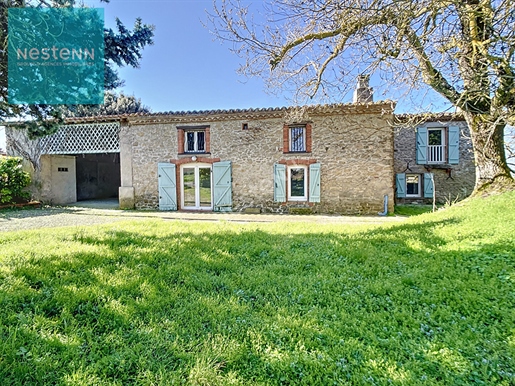 Farmhouse Lauragaise 190m², shed, old mill, wooded land with view of the Pyrenees 31290