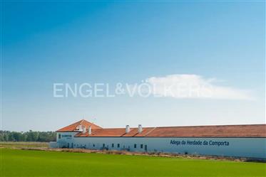 Land with approved architectural project in Comporta