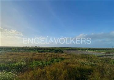 Plot with rice field view in Comporta