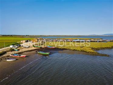 House with surface rights in Carrasqueira