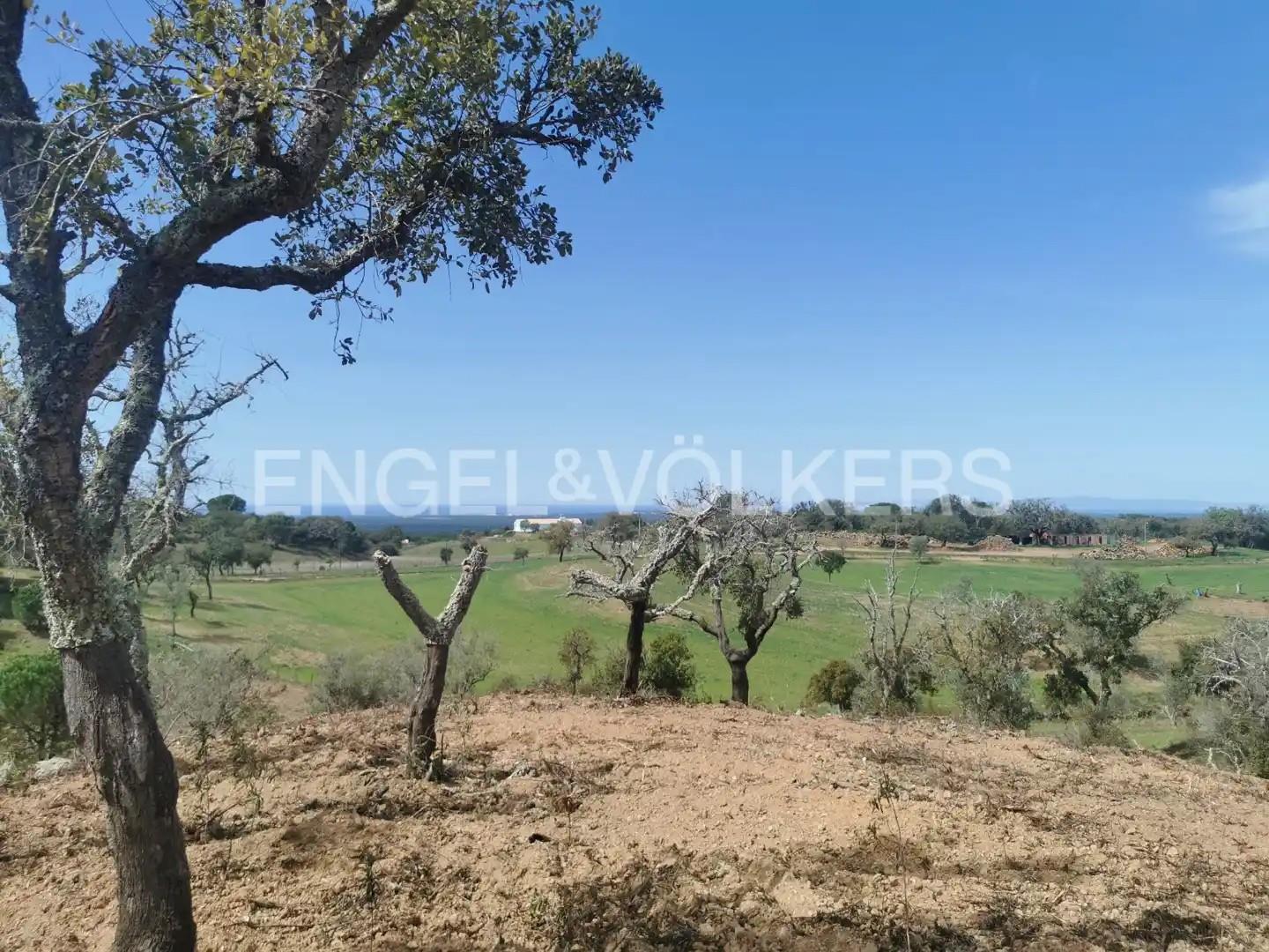 Terreno de 6ha com projecto arquitetura aprovado