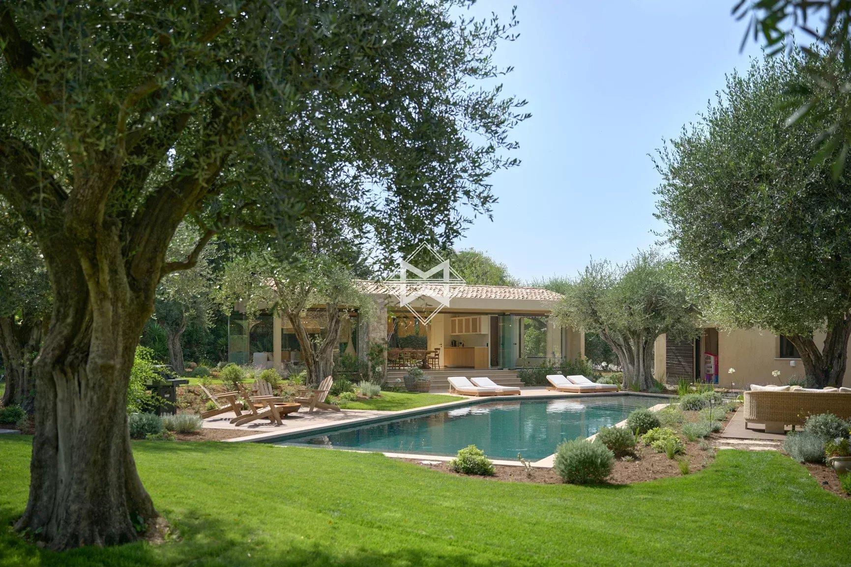 Rare, view on the hill of the village of Mougins.