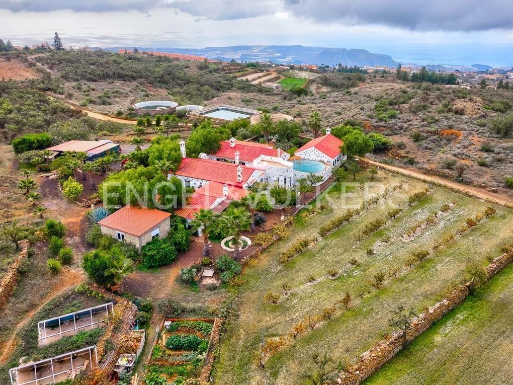 Fairytale winery finca with a lot of potential in La Escalona