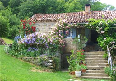 Mooi huis 10mins St Antonin / Caylus, In privé vallei omgeven door eigen grond.