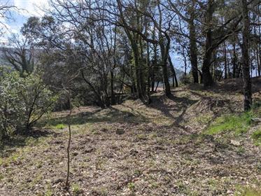 Large wooded lot with Building Permit