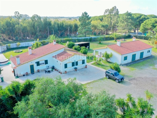 Farm with 2 houses, commercial space and subdivision 30 minutes from Lisbon
