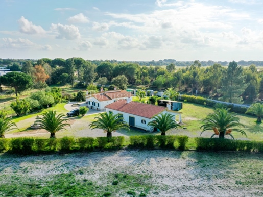 Farm with 2 houses, commercial space and subdivision 30 minutes from Lisbon