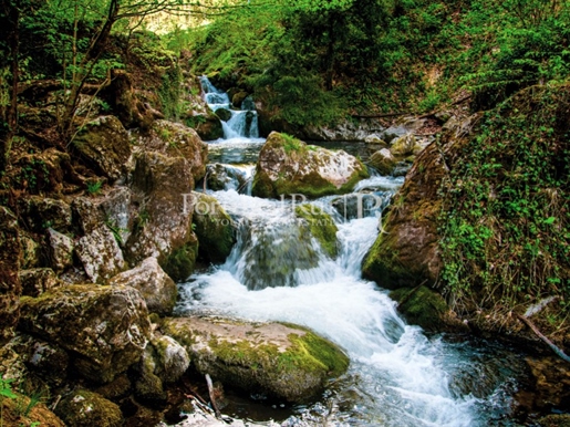 Quinta ecológica em zona isolada no Norte Transmontano