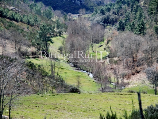Gospodarstwo ekologiczne na odizolowanym obszarze w północnym Transmontano