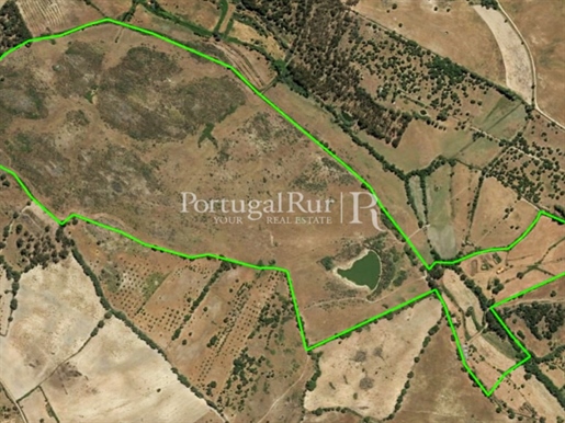 47.3 hectare estate in Idanha-a-Nova