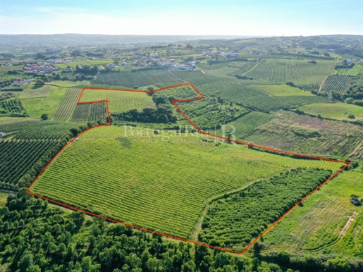 Land with 12 ha with construction feasibility 20 km from the sea