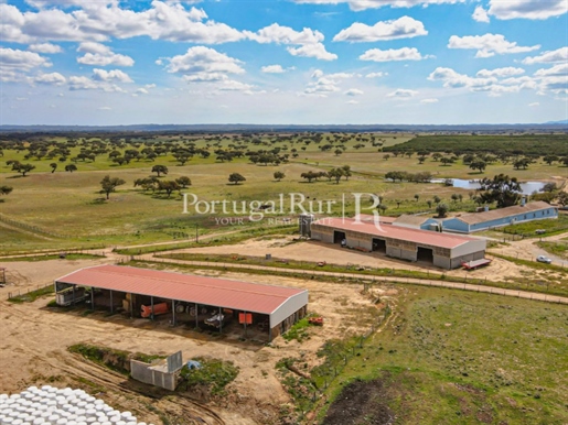 680Ha estate with dam and rustic house
