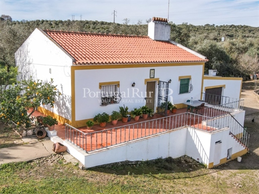 2 ha farm with 3 bedrooms villa in Vila Viçosa