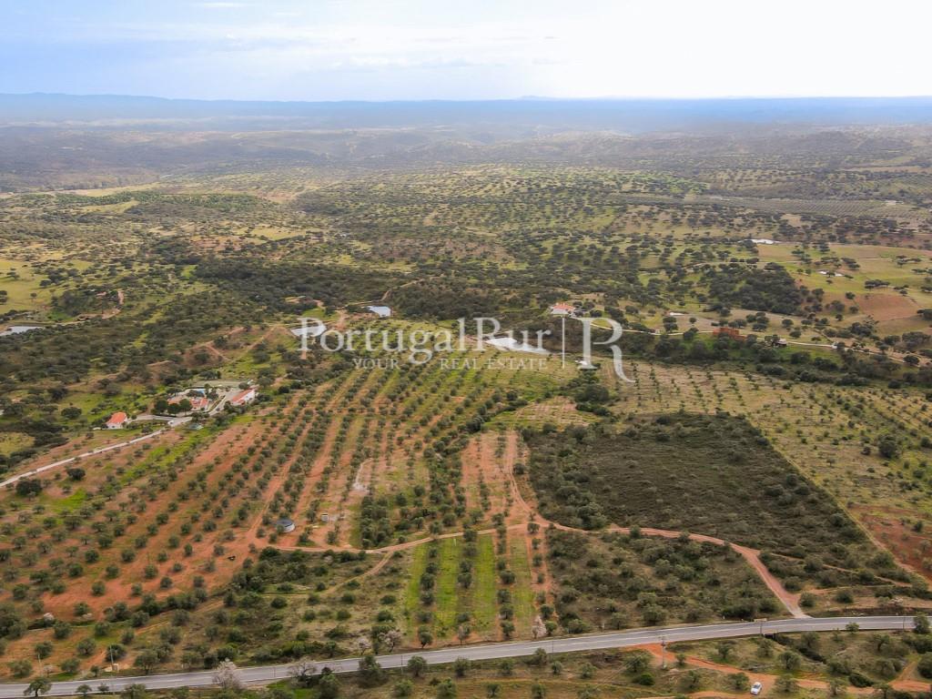 Land Sale Serpa