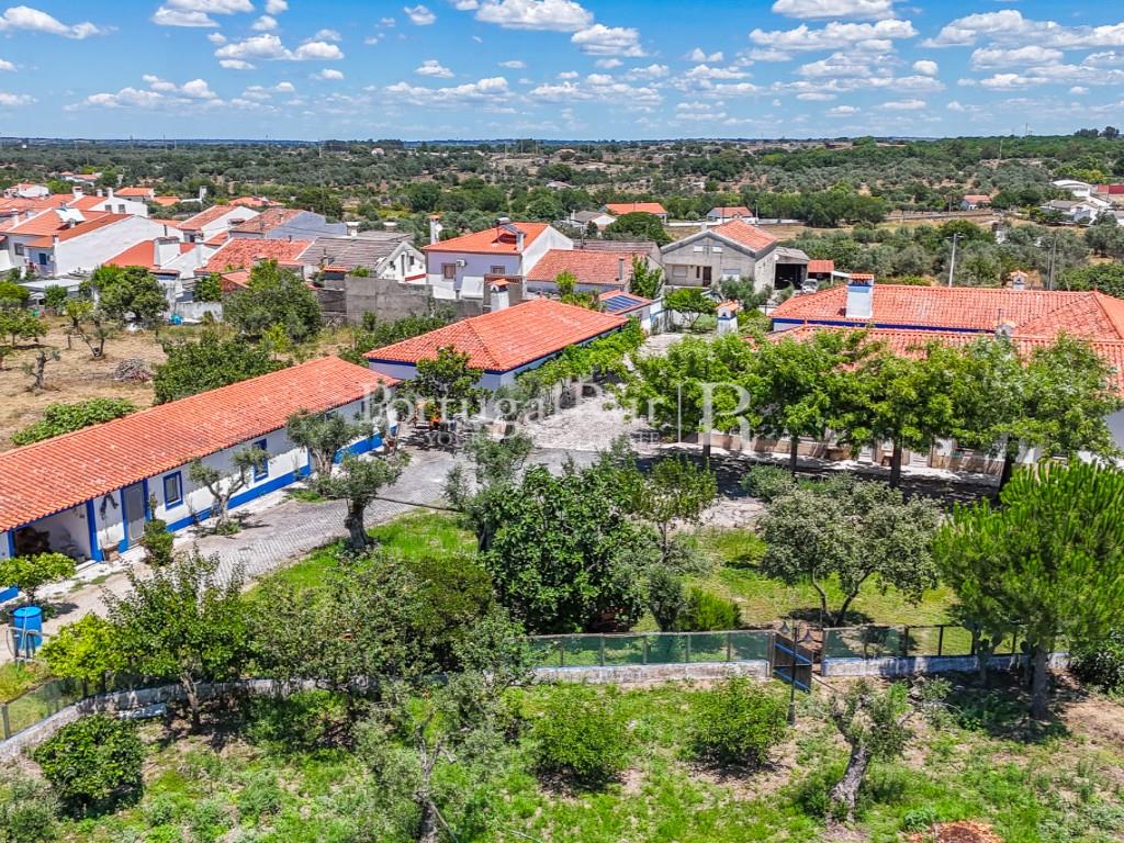 Fantastic farm with rural tourism