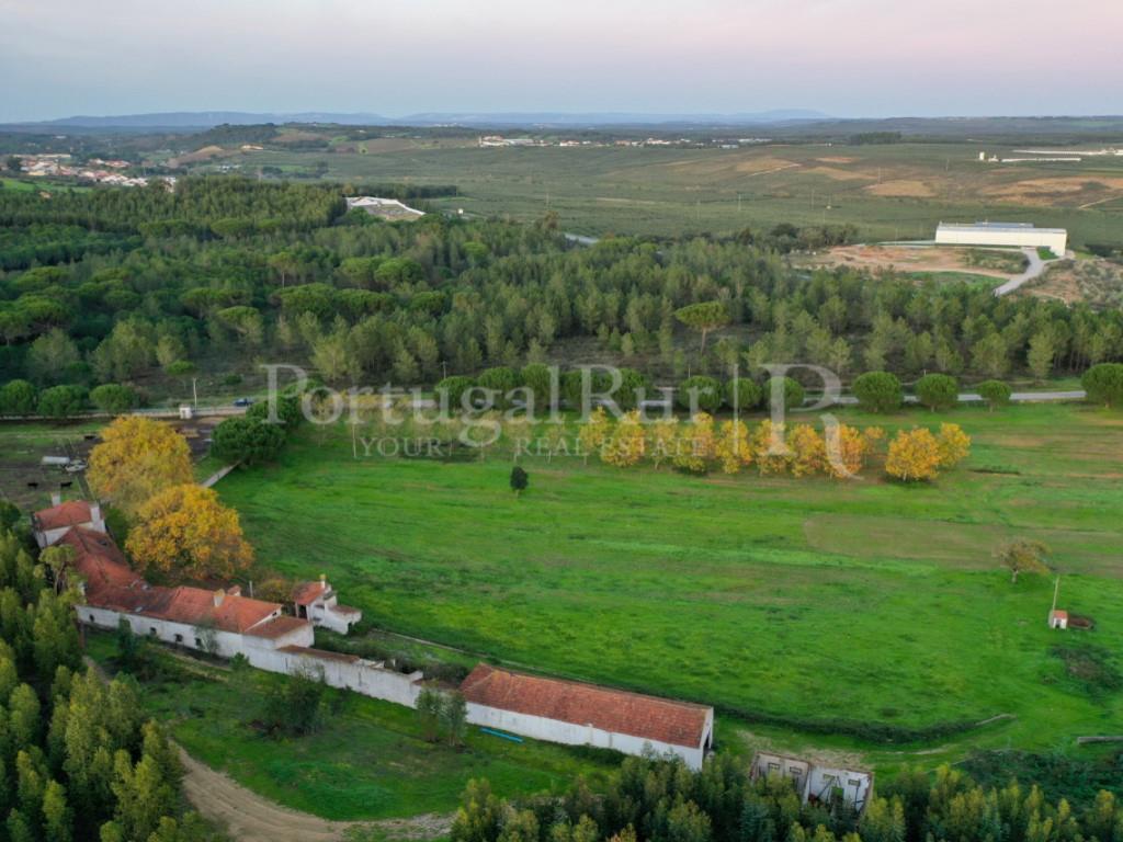Farm with 9.4 ha (94,000 m2) located in the region of Azambuja