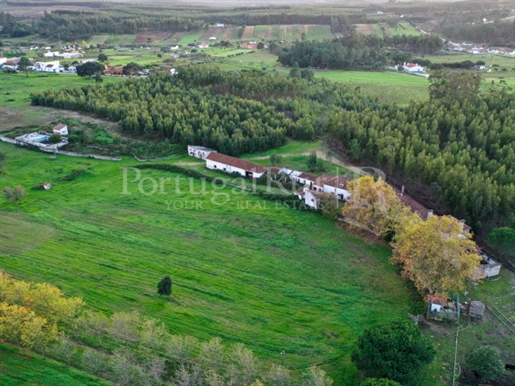 Farm with 9.4 ha (94,000 m2) located in the region of Azambuja