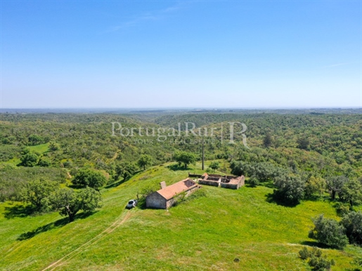 Farm with 85 ha, with tourist viability, 15 km from Melides