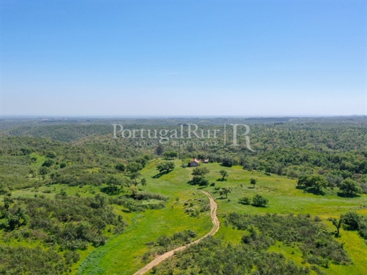 Farm with 85 ha, with tourist viability, 15 km from Melides