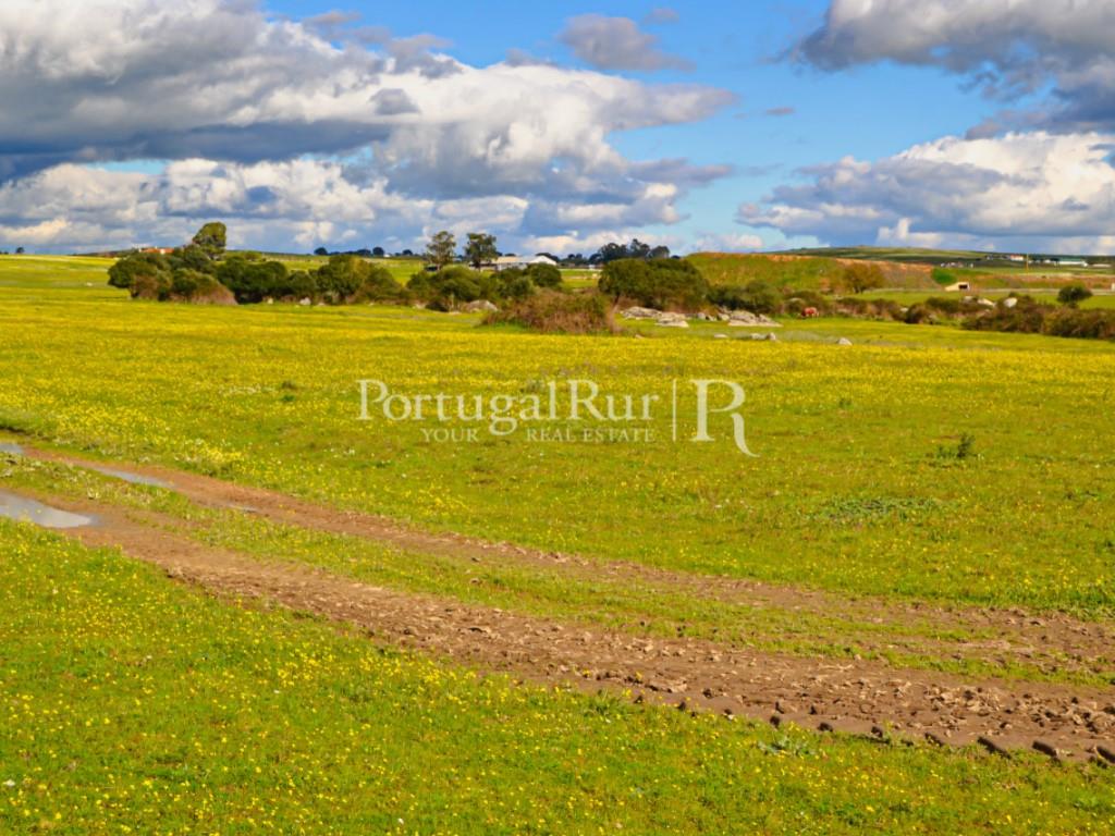 Herdade de 155 ha com barragem privada