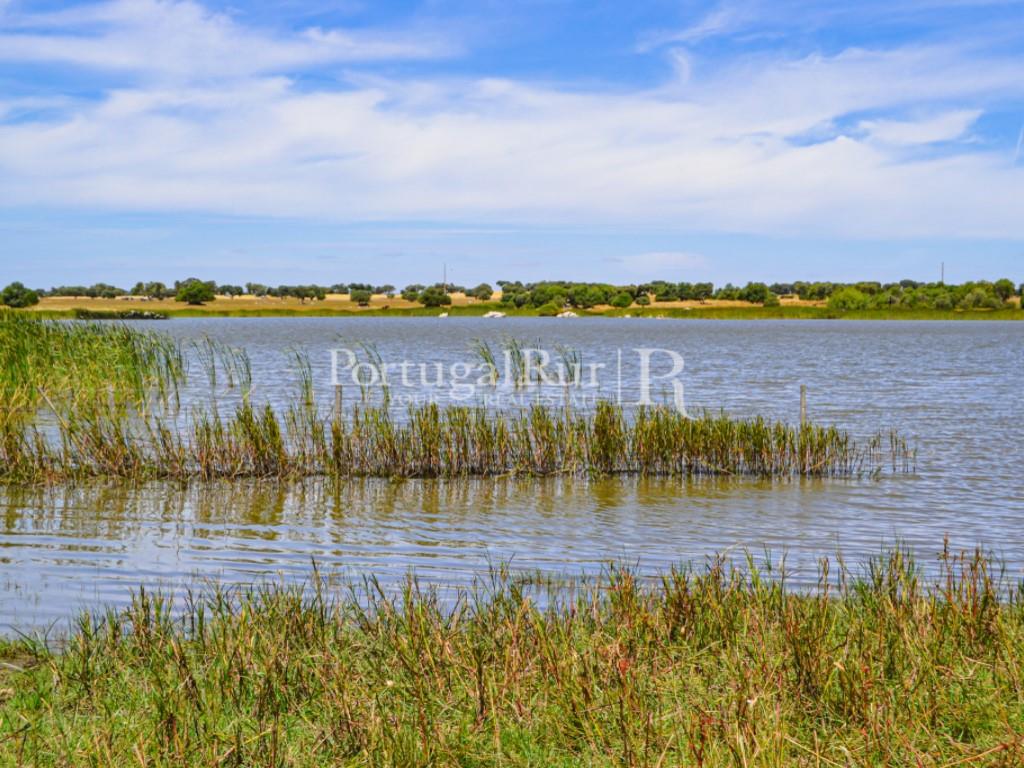 Herdade de 155 ha com barragem privada