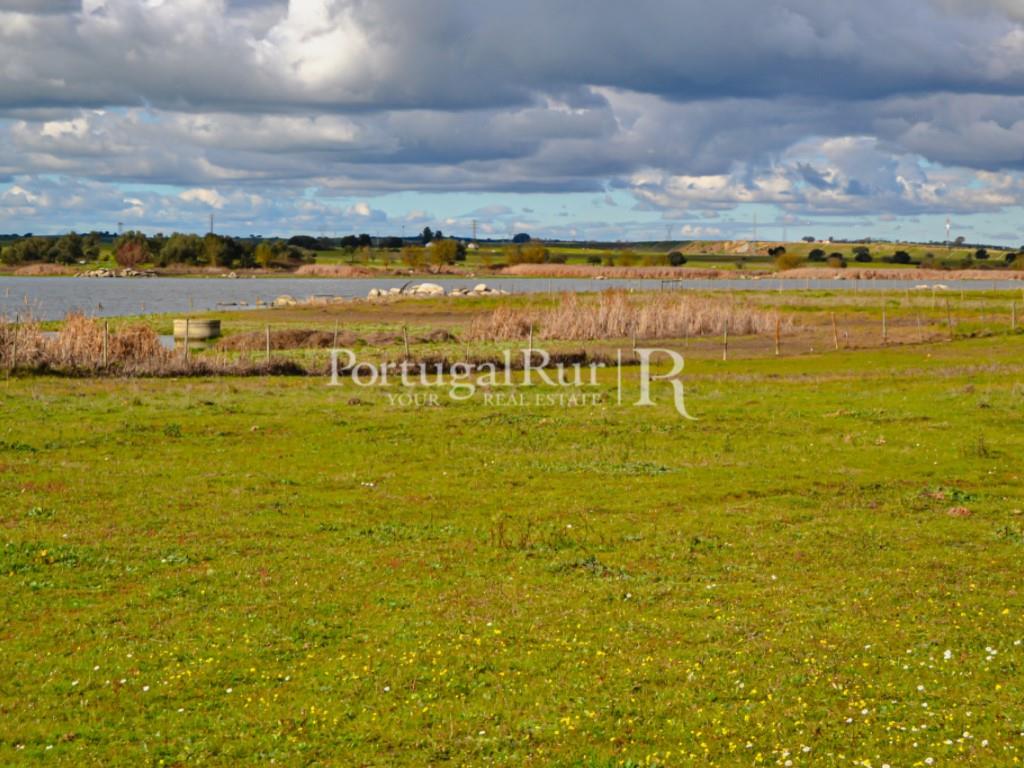 Herdade de 155 ha com barragem privada