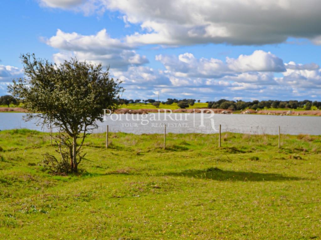 Herdade de 155 ha com barragem privada
