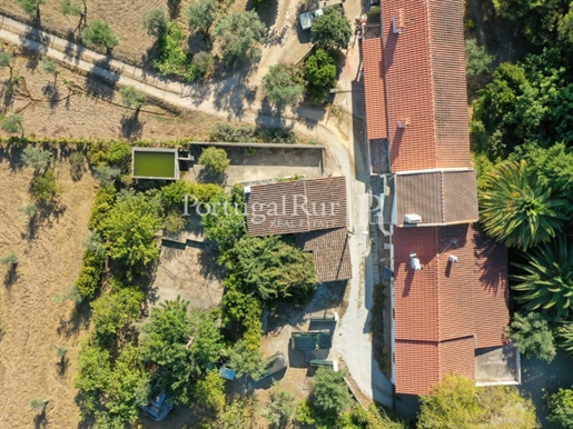 Farm with two houses in Ribeira de Nisa