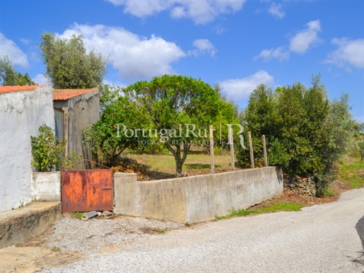 Rustic house with land in Pergulho