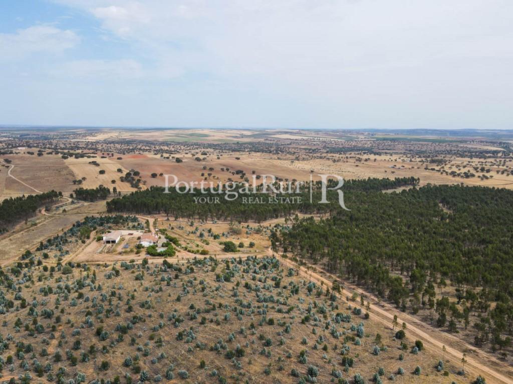 Estate with 322 hectares in Aljustrel