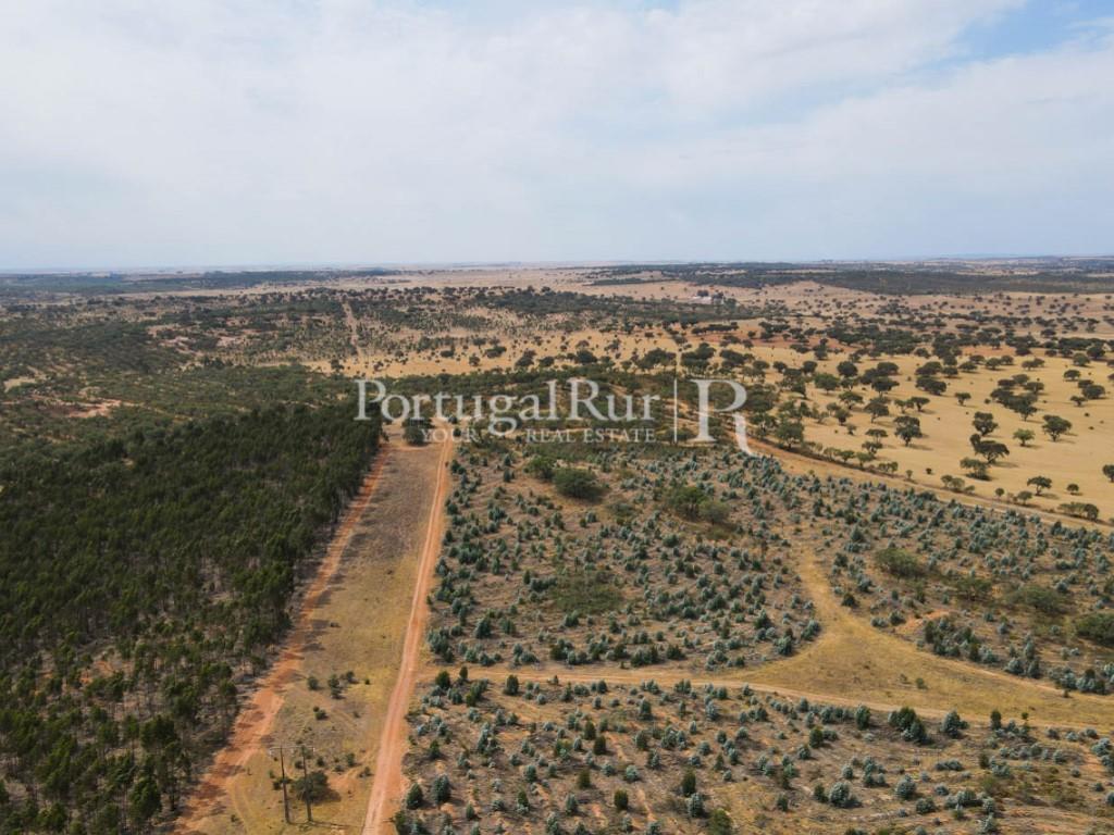 Estate with 322 hectares in Aljustrel