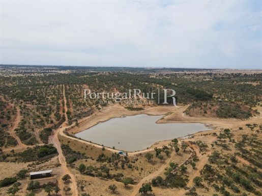 Estate with 322 hectares in Aljustrel