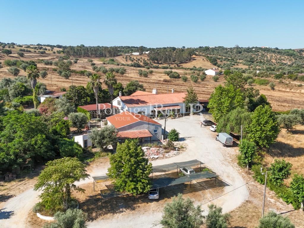 Farm for Events with 2.5ha in Montemor-o-Novo