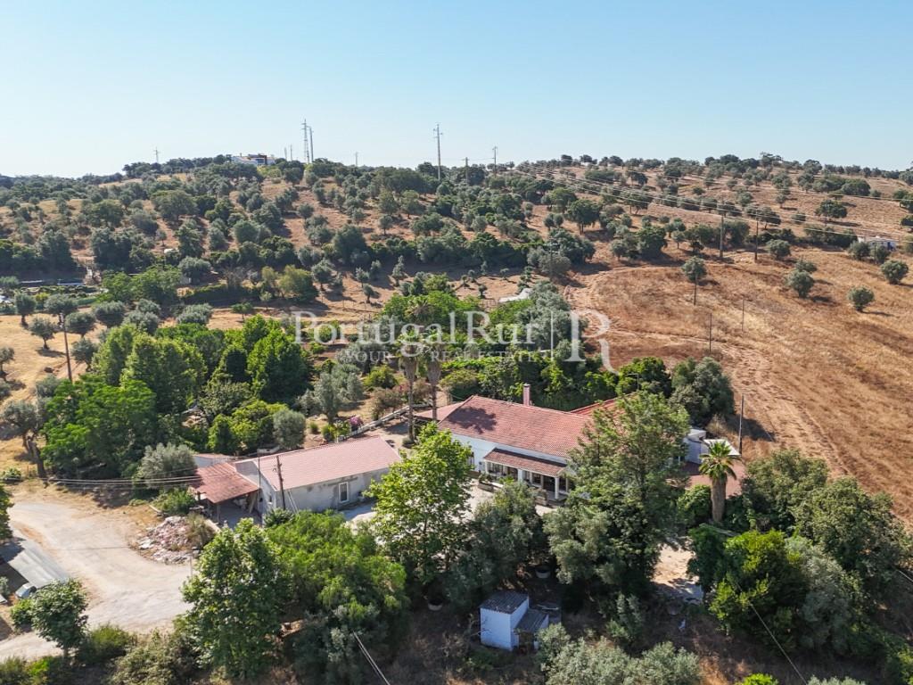Farm for Events with 2.5ha in Montemor-o-Novo