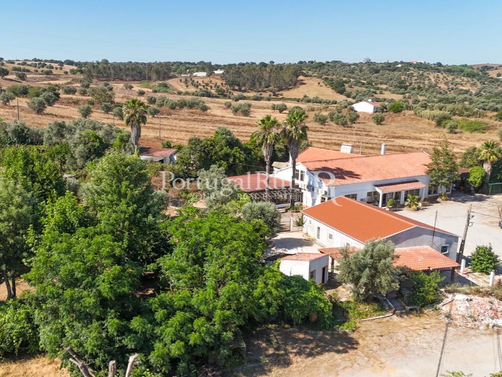 Farm for Events with 2.5ha in Montemor-o-Novo