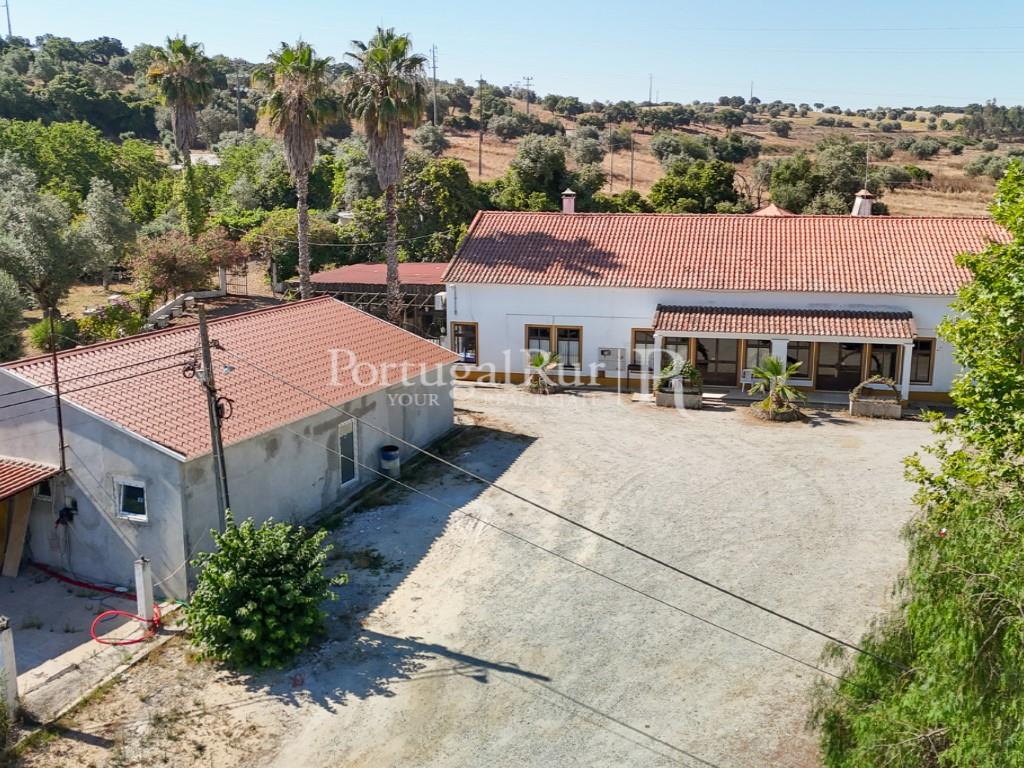 Farm for Events with 2.5ha in Montemor-o-Novo