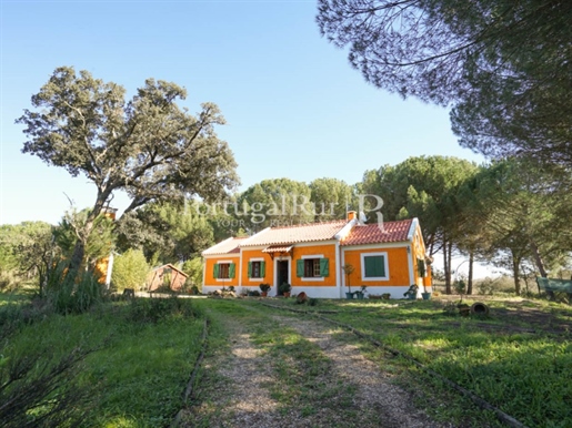 Forest farm with 5.7ha and 3 bedroom villa near Lisbon