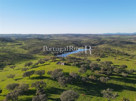 Estate with 567 hectares in Évora