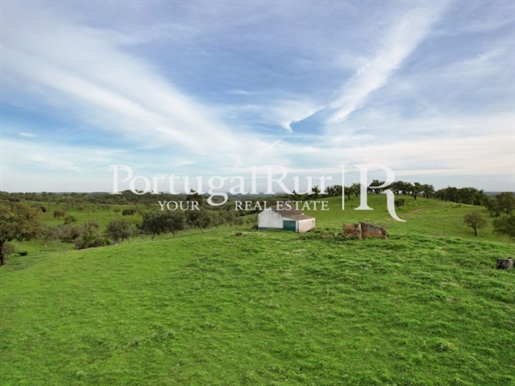 Bauernhof im Alentejo Verkauf Santiago do Cacém