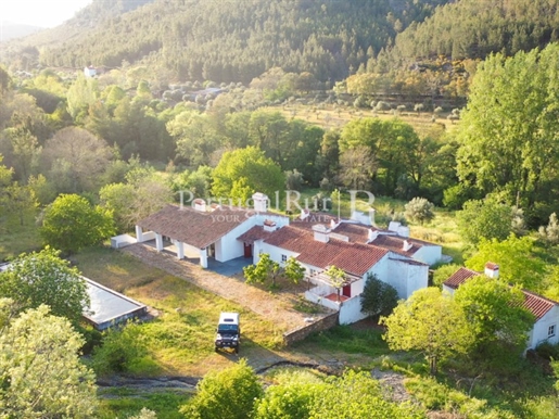 Quinta para turismo no P. N. Serra de S. Mamede
